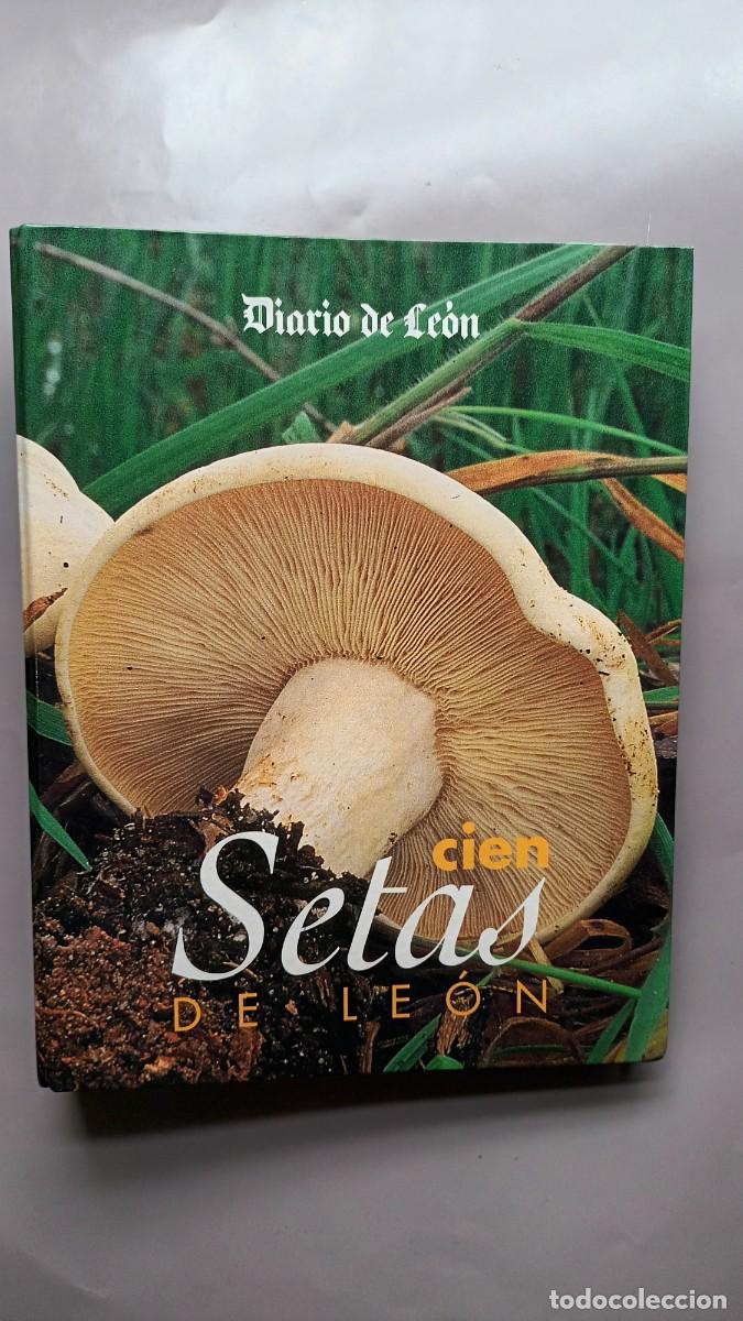 Libros de segunda mano: CIEN SETAS DE LE&Oacute;N - JUAN CARLOS SANTOS - EDILESA (LE&Oacute;N) 1998 - COMPLETO - Foto 1