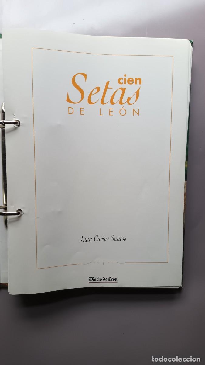 Libros de segunda mano: CIEN SETAS DE LE&Oacute;N - JUAN CARLOS SANTOS - EDILESA (LE&Oacute;N) 1998 - COMPLETO - Foto 2