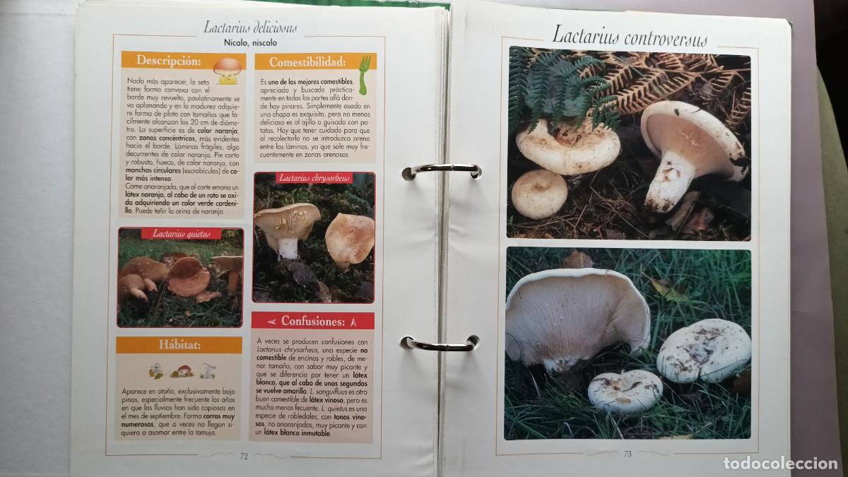 Libros de segunda mano: CIEN SETAS DE LE&Oacute;N - JUAN CARLOS SANTOS - EDILESA (LE&Oacute;N) 1998 - COMPLETO - Foto 4