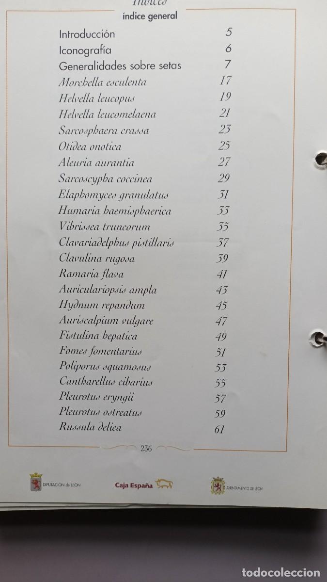 Libros de segunda mano: CIEN SETAS DE LE&Oacute;N - JUAN CARLOS SANTOS - EDILESA (LE&Oacute;N) 1998 - COMPLETO - Foto 5