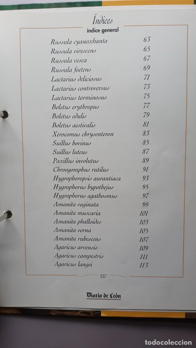 Libros de segunda mano: CIEN SETAS DE LE&Oacute;N - JUAN CARLOS SANTOS - EDILESA (LE&Oacute;N) 1998 - COMPLETO - Foto 6