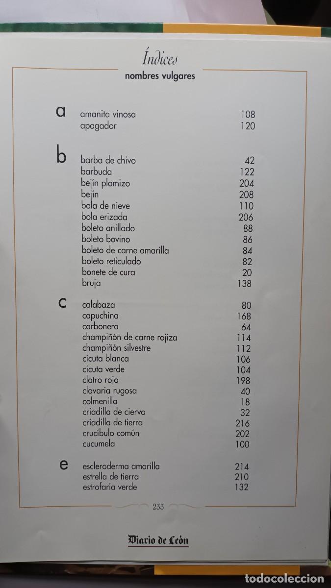Libros de segunda mano: CIEN SETAS DE LE&Oacute;N - JUAN CARLOS SANTOS - EDILESA (LE&Oacute;N) 1998 - COMPLETO - Foto 7