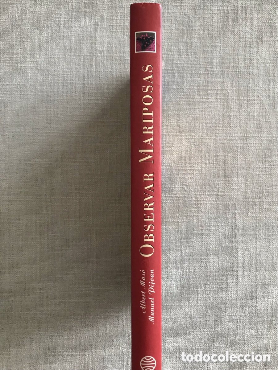 Libros de segunda mano: Observar Mariposas. Gu&iacute;a sobre Mariposas. - Foto 3