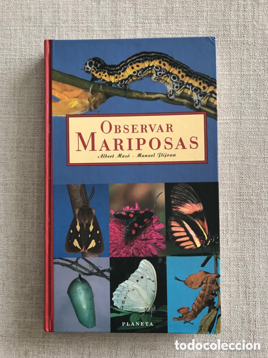Libros de segunda mano: Observar Mariposas. Gu&iacute;a sobre Mariposas. - Foto 1