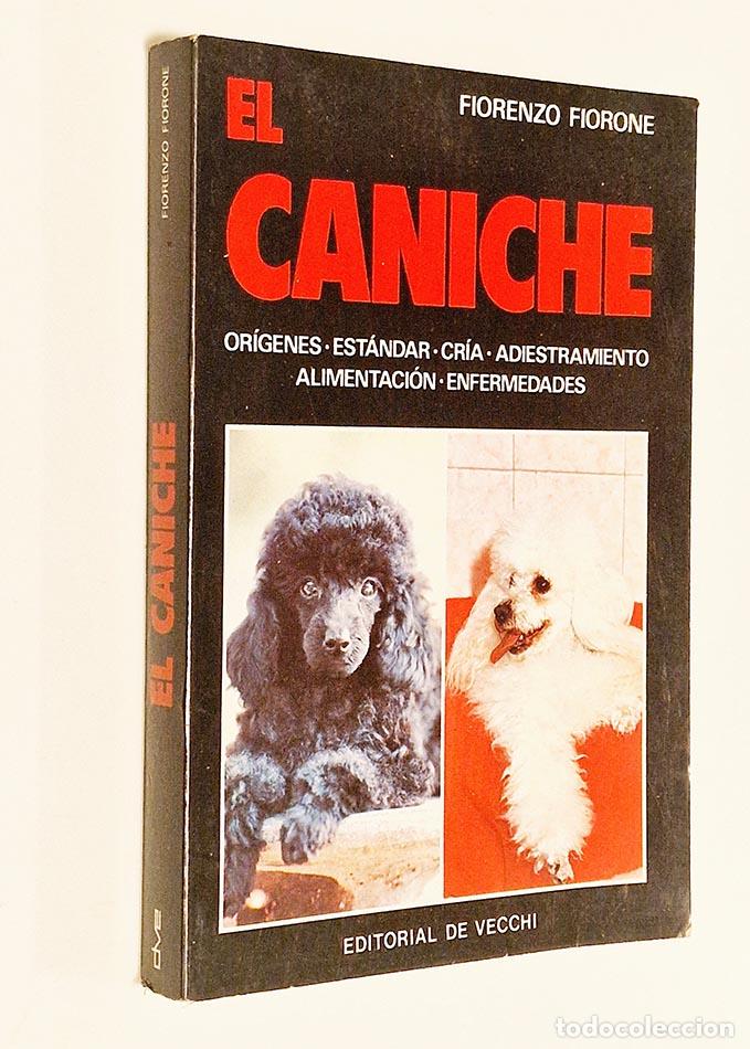 Libros de segunda mano: EL CANICHE - FIORONE, Fiorenzo - Foto 1