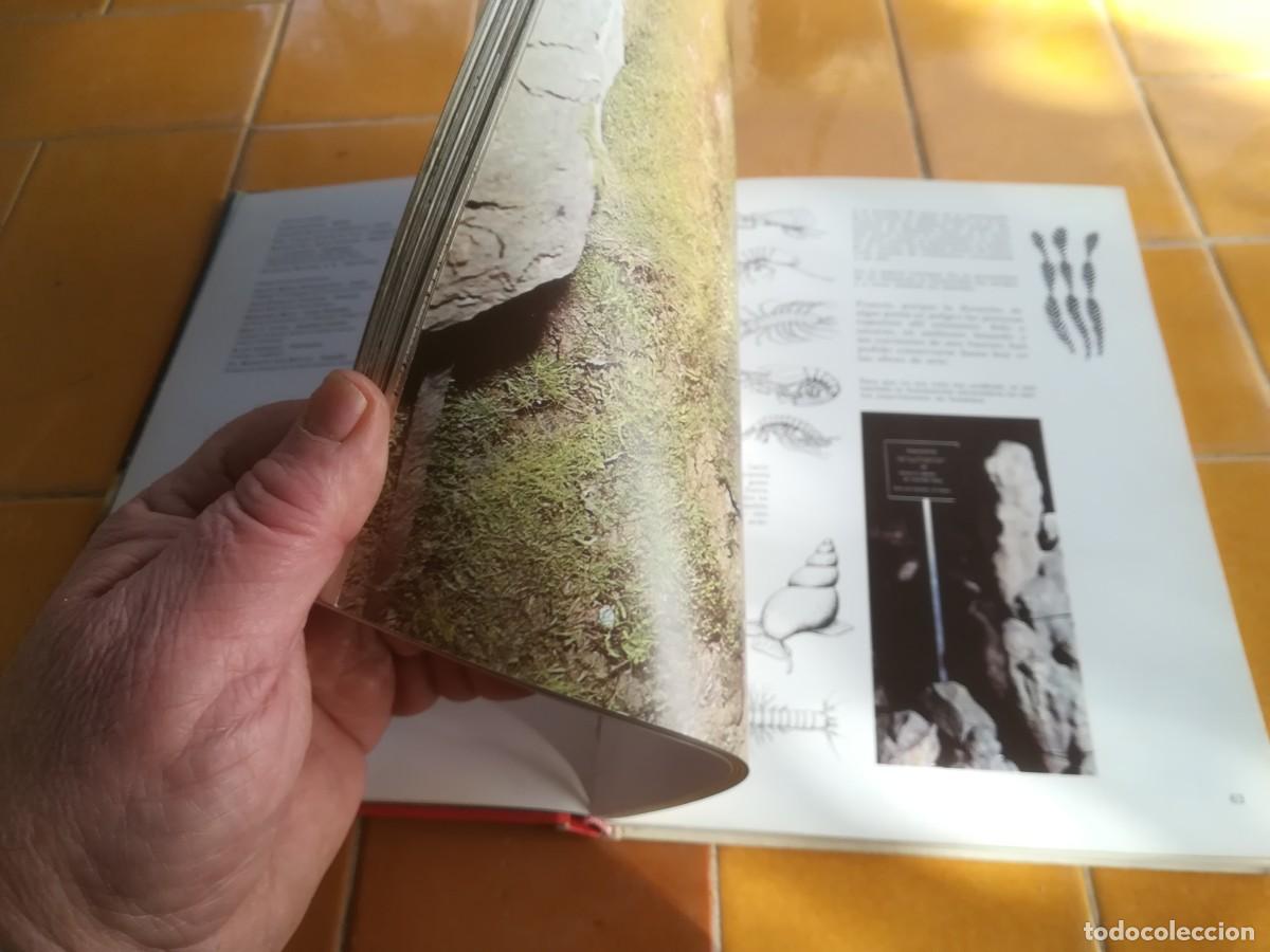 Libros de segunda mano: ESPELEOLOGIA / ERNST BAUER / CMA 35 - Foto 17