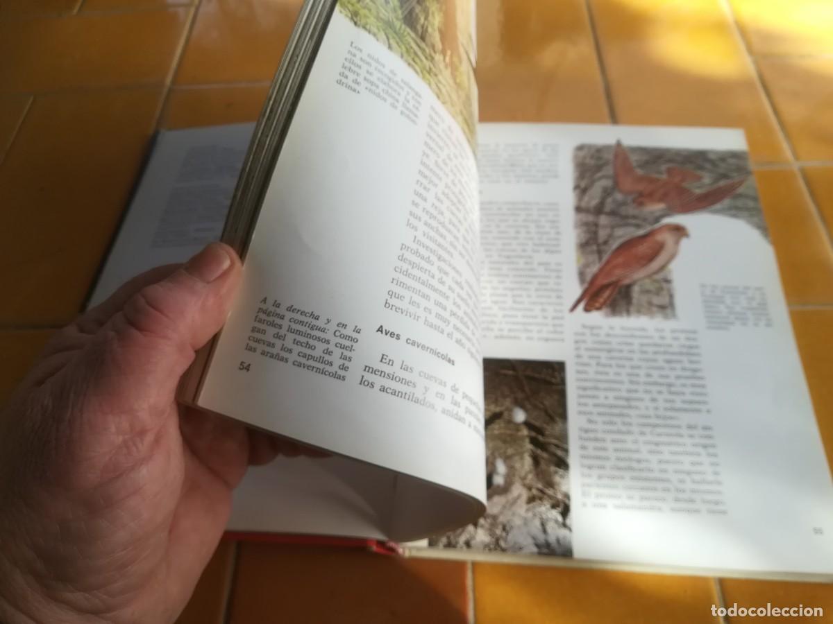 Libros de segunda mano: ESPELEOLOGIA / ERNST BAUER / CMA 35 - Foto 18