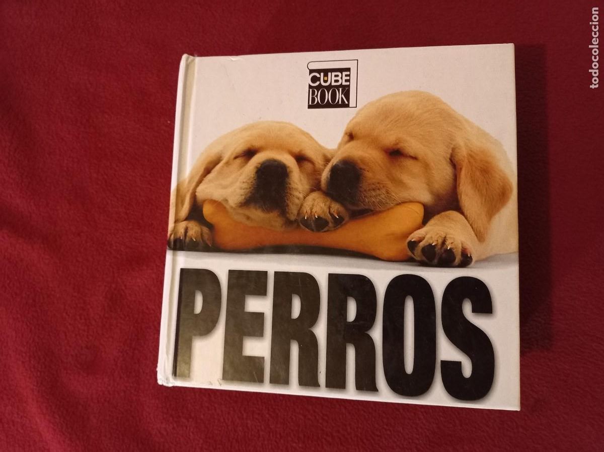 Libros de segunda mano: PERROS - CUBE BOOK - ED. LU - CARTONE 736 PAGINAS - Foto 1