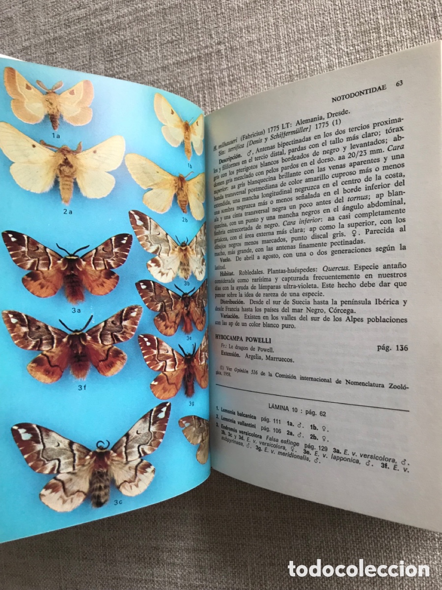 Libros de segunda mano: Gu&iacute;a de Campo de las Mariposas Nocturnas. - Foto 5