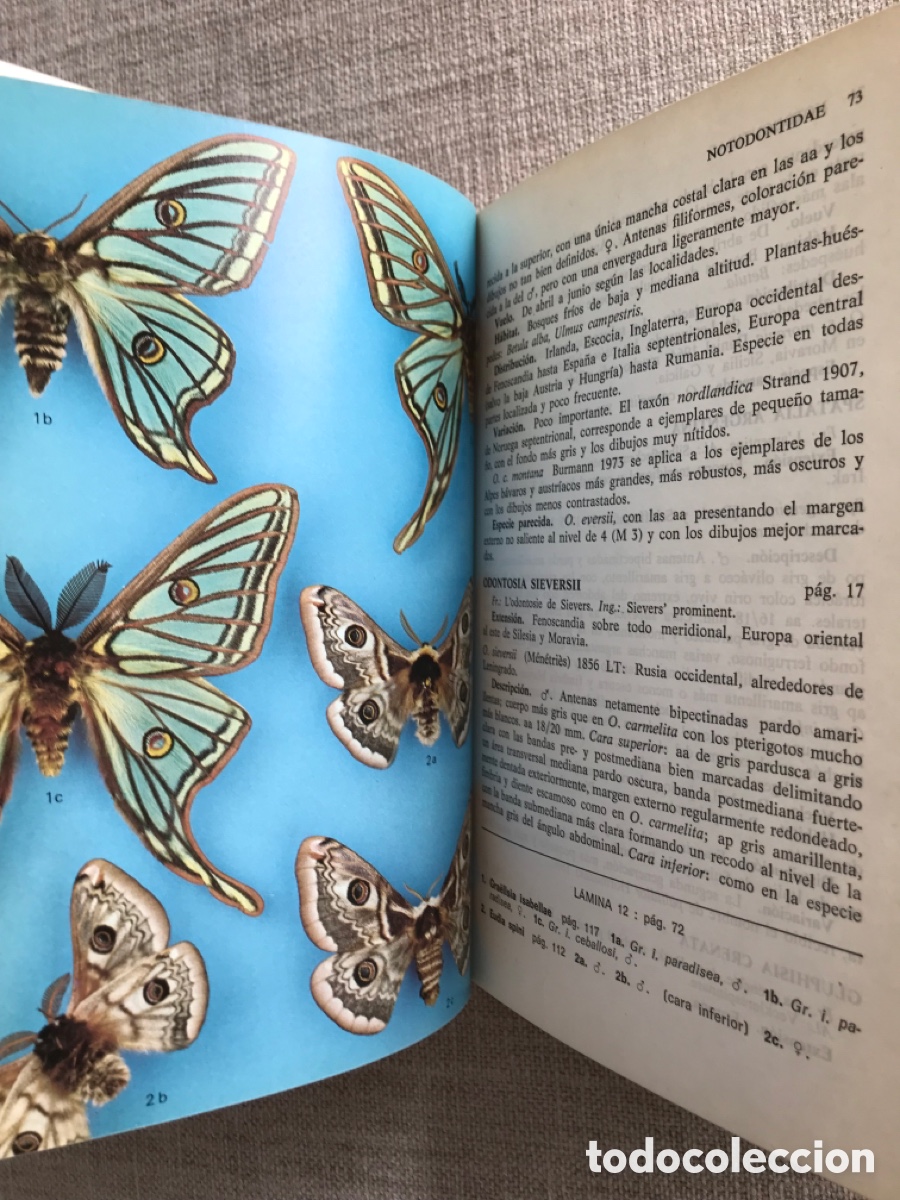Libros de segunda mano: Gu&iacute;a de Campo de las Mariposas Nocturnas. - Foto 6