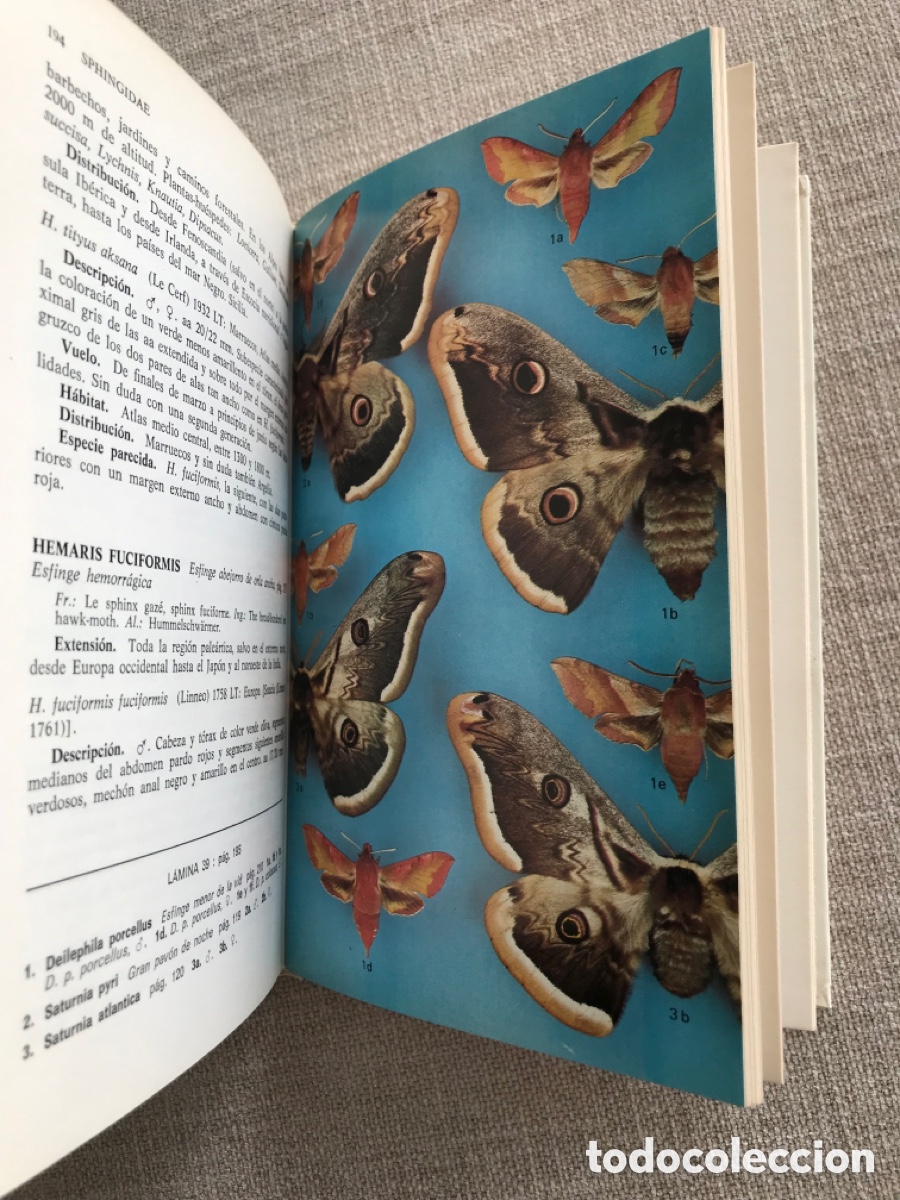 Libros de segunda mano: Gu&iacute;a de Campo de las Mariposas Nocturnas. - Foto 11