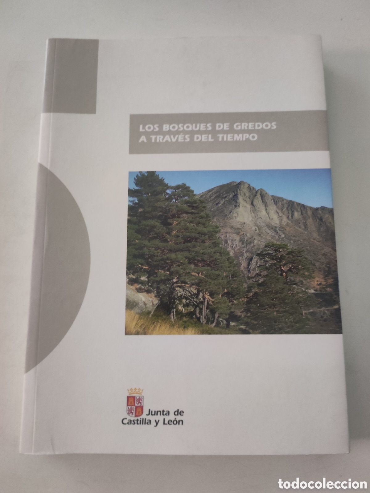Libros de segunda mano: LOS BOSQUES DE GREDOS A TRAVES DEL TIEMPO .- VVAA. - Foto 1
