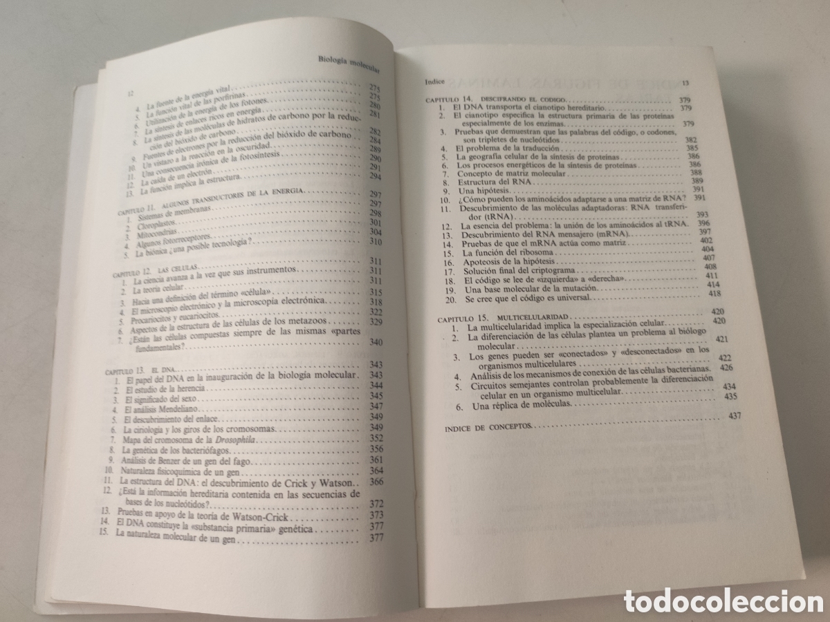 Libros de segunda mano: BIOLOGIA MOLECULAR Enfoque estructural .- C U M Smith - Foto 5