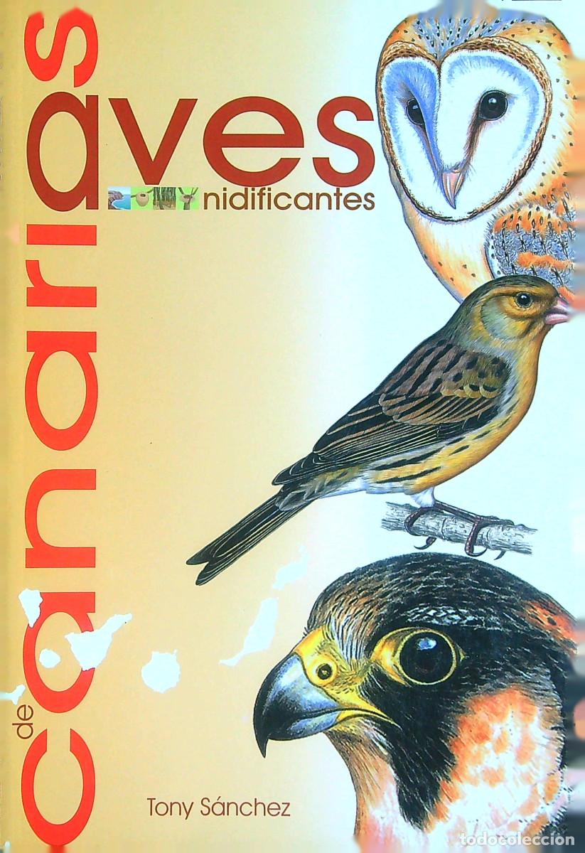 Libros de segunda mano: AVES DE CANARIAS NIDIFICANTES - TONY S&Aacute;NCHEZ - 2002 - Foto 1