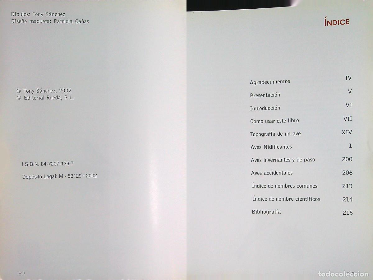 Libros de segunda mano: AVES DE CANARIAS NIDIFICANTES - TONY S&Aacute;NCHEZ - 2002 - Foto 2