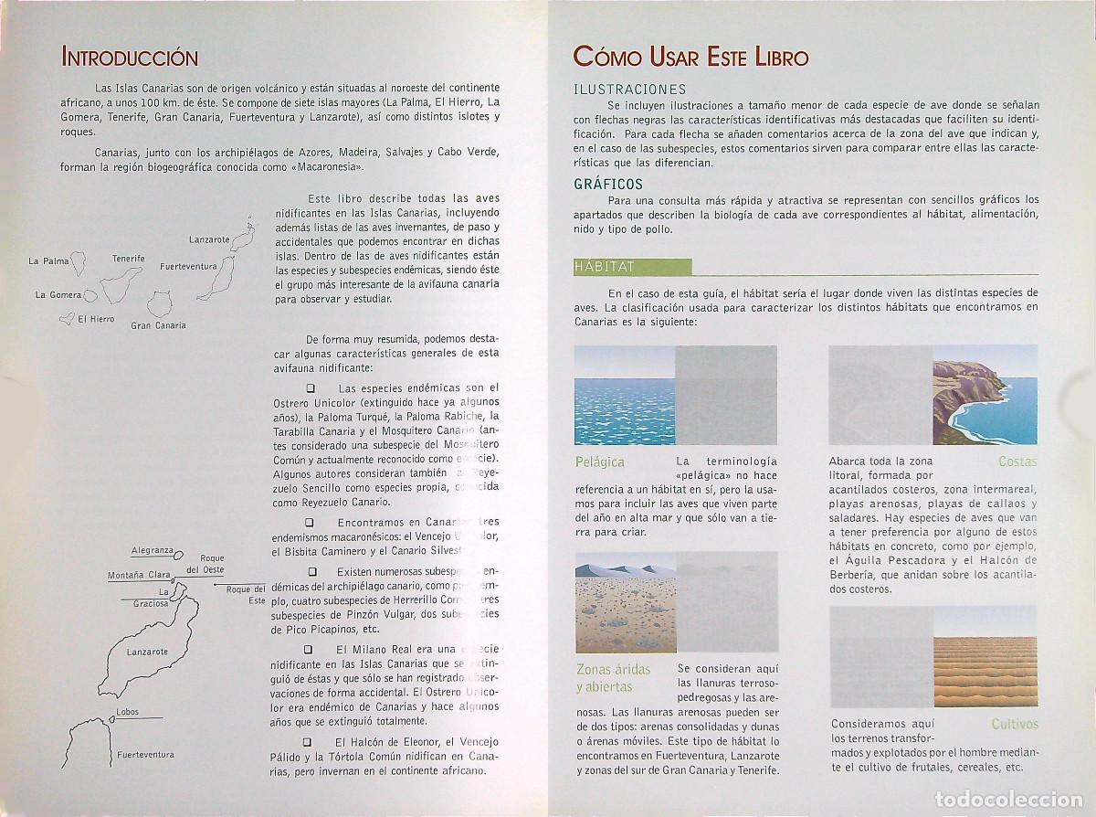 Libros de segunda mano: AVES DE CANARIAS NIDIFICANTES - TONY S&Aacute;NCHEZ - 2002 - Foto 3