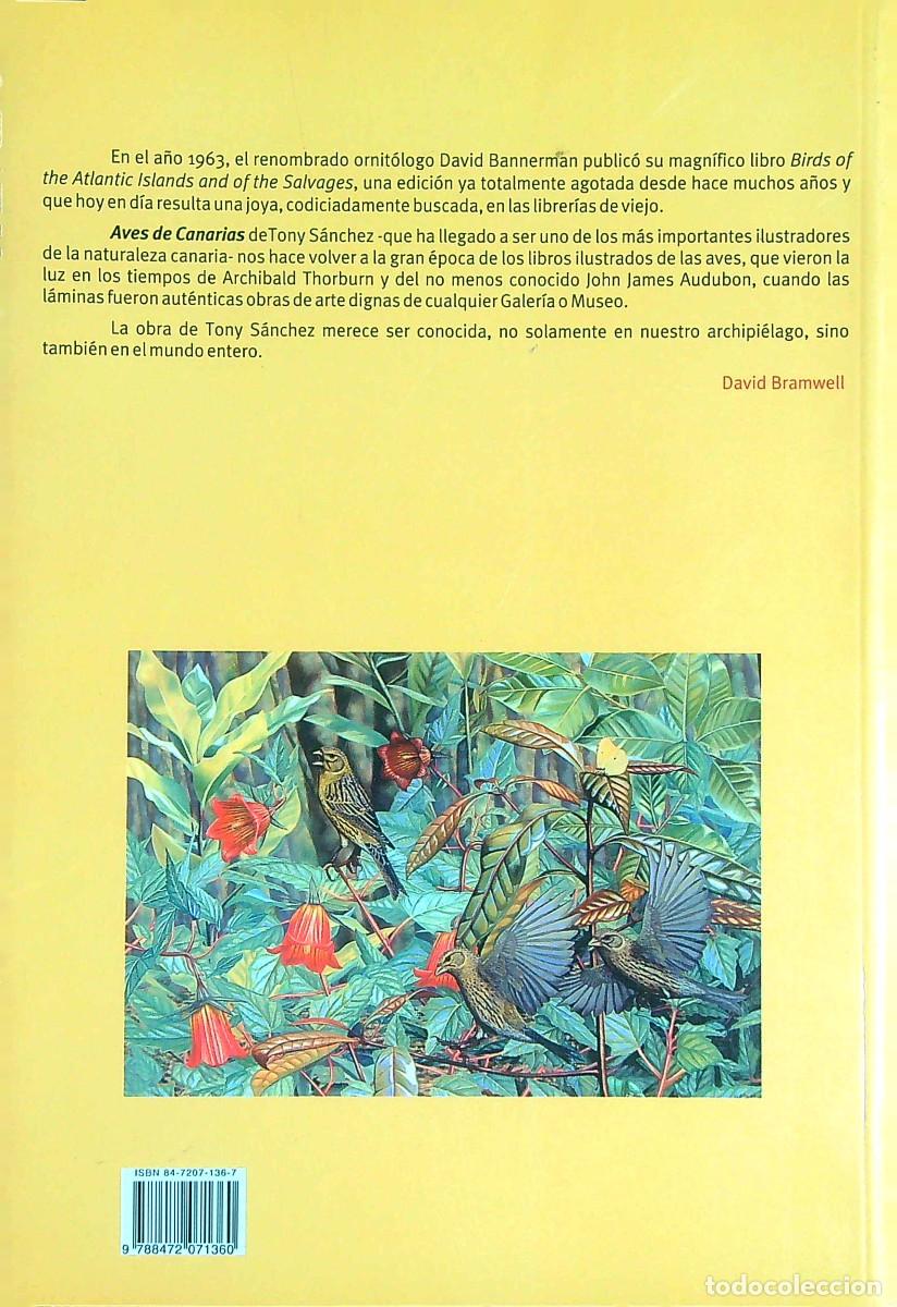 Libros de segunda mano: AVES DE CANARIAS NIDIFICANTES - TONY S&Aacute;NCHEZ - 2002 - Foto 6