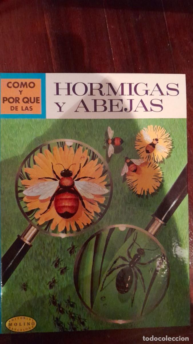 Libros de segunda mano: Como y por que de las Hormigas y Abejas - Foto 1