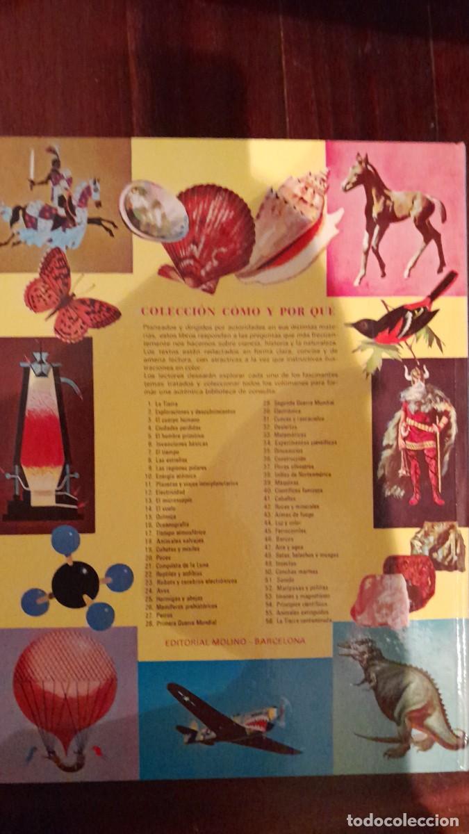 Libros de segunda mano: Como y por que de las Hormigas y Abejas - Foto 2