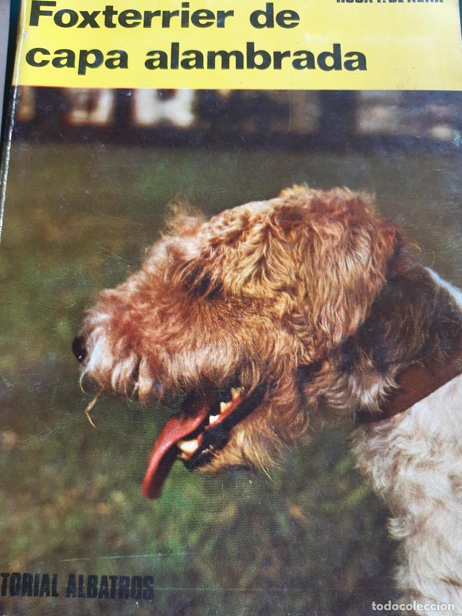 Libros de segunda mano: Fox terrier de capa alambrada rosa de azar - Foto 1