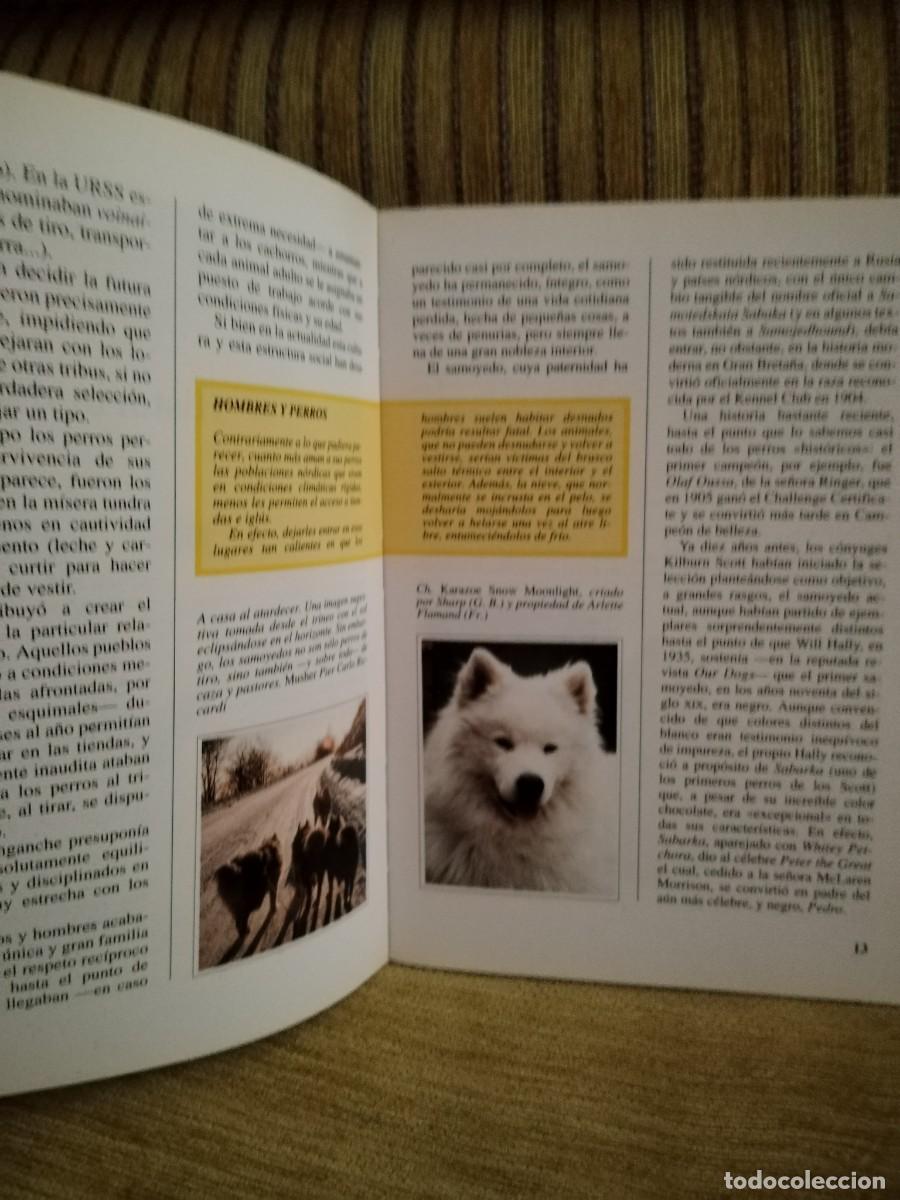 Libros de segunda mano: EL SAMOYEDO perros de raza - Foto 8