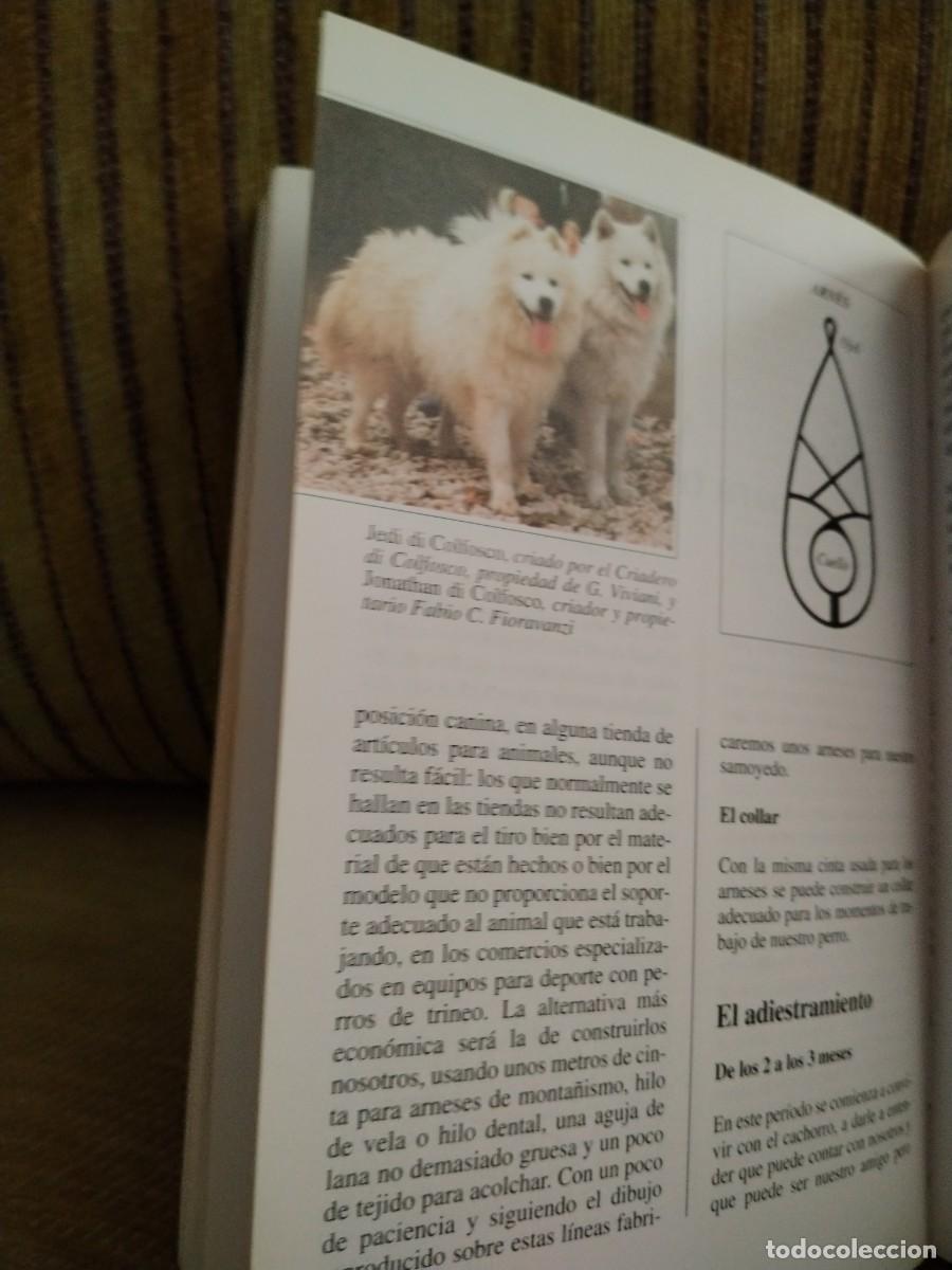Libros de segunda mano: EL SAMOYEDO perros de raza - Foto 10