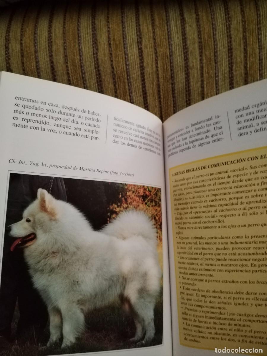 Libros de segunda mano: EL SAMOYEDO perros de raza - Foto 12
