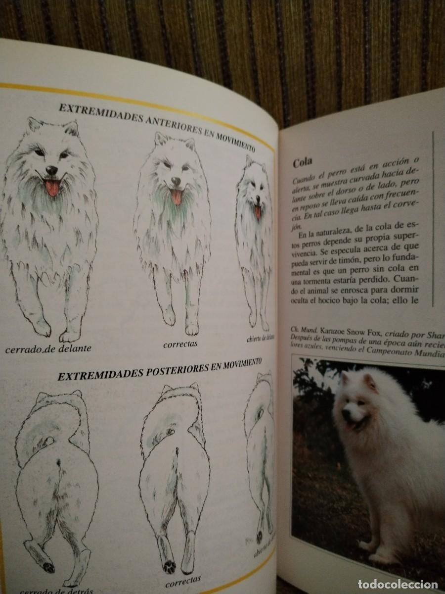 Libros de segunda mano: EL SAMOYEDO perros de raza - Foto 13