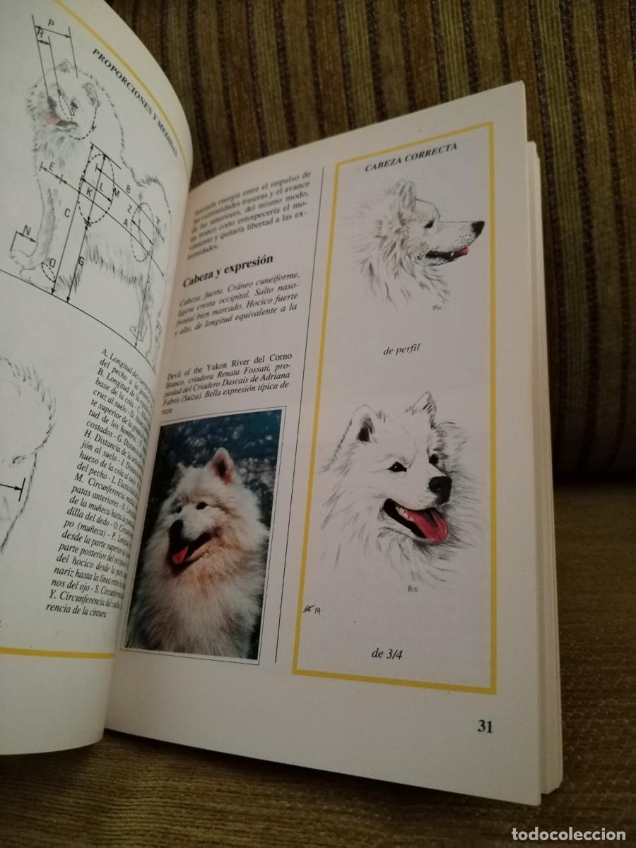 Libros de segunda mano: EL SAMOYEDO perros de raza - Foto 14