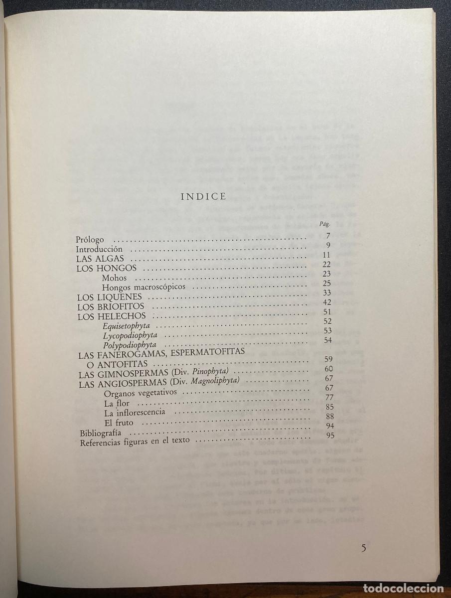 Libros de segunda mano: PR&Aacute;CTICAS DE BOT&Aacute;NICA GENERAL - VV.AA. - GOYA EDICIONES - TENERIFE - CANARIAS - Foto 2