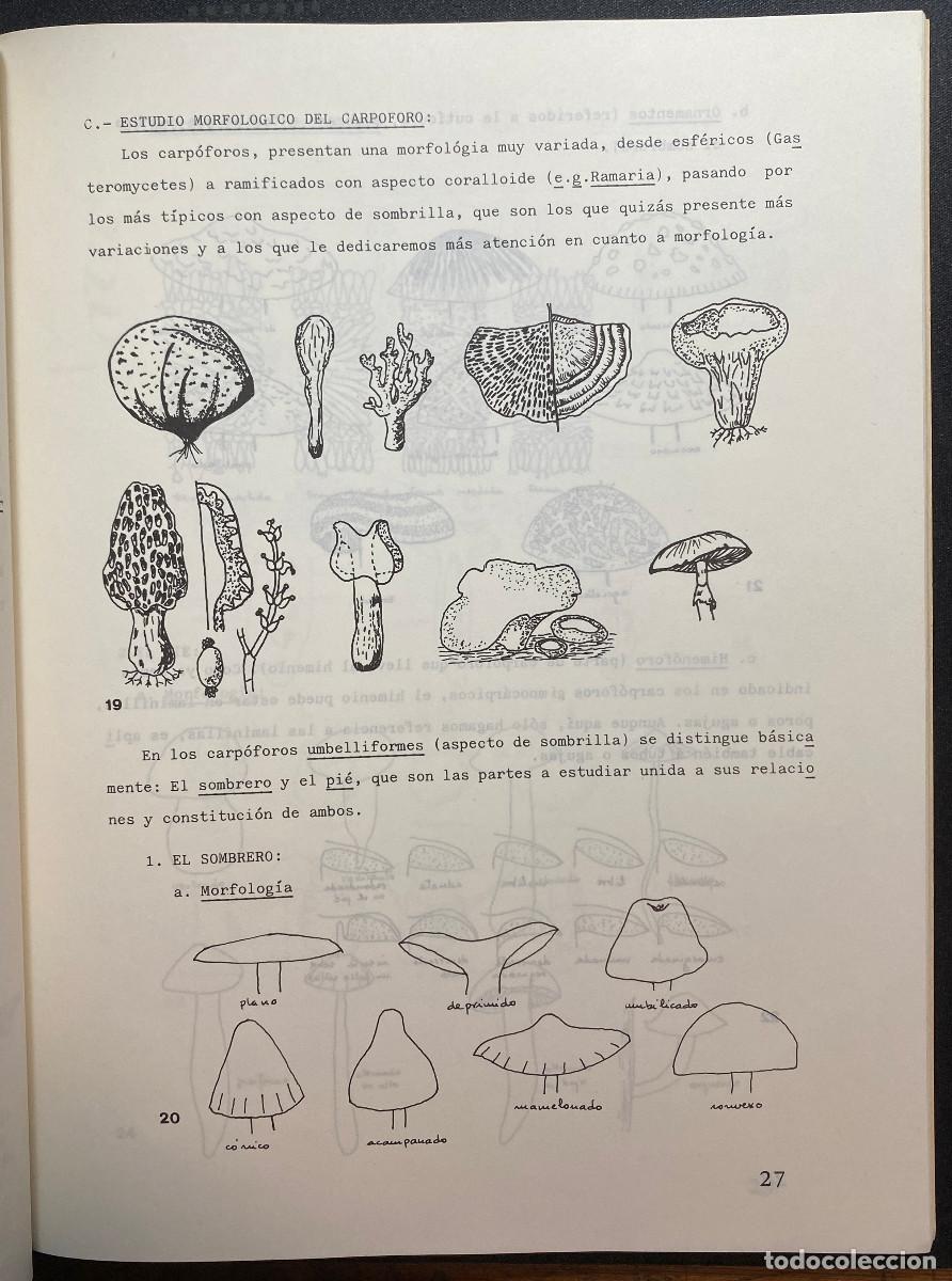 Libros de segunda mano: PR&Aacute;CTICAS DE BOT&Aacute;NICA GENERAL - VV.AA. - GOYA EDICIONES - TENERIFE - CANARIAS - Foto 3