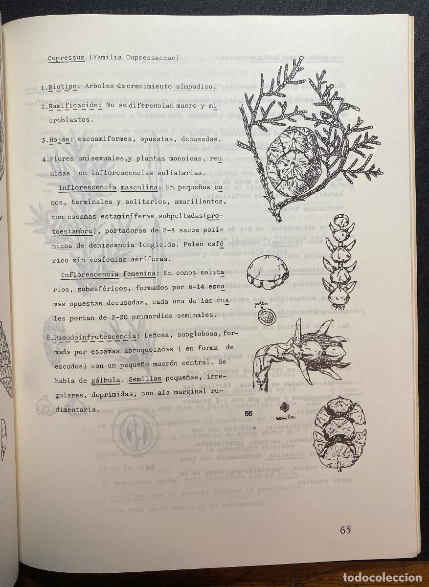 Libros de segunda mano: PR&Aacute;CTICAS DE BOT&Aacute;NICA GENERAL - VV.AA. - GOYA EDICIONES - TENERIFE - CANARIAS - Foto 4
