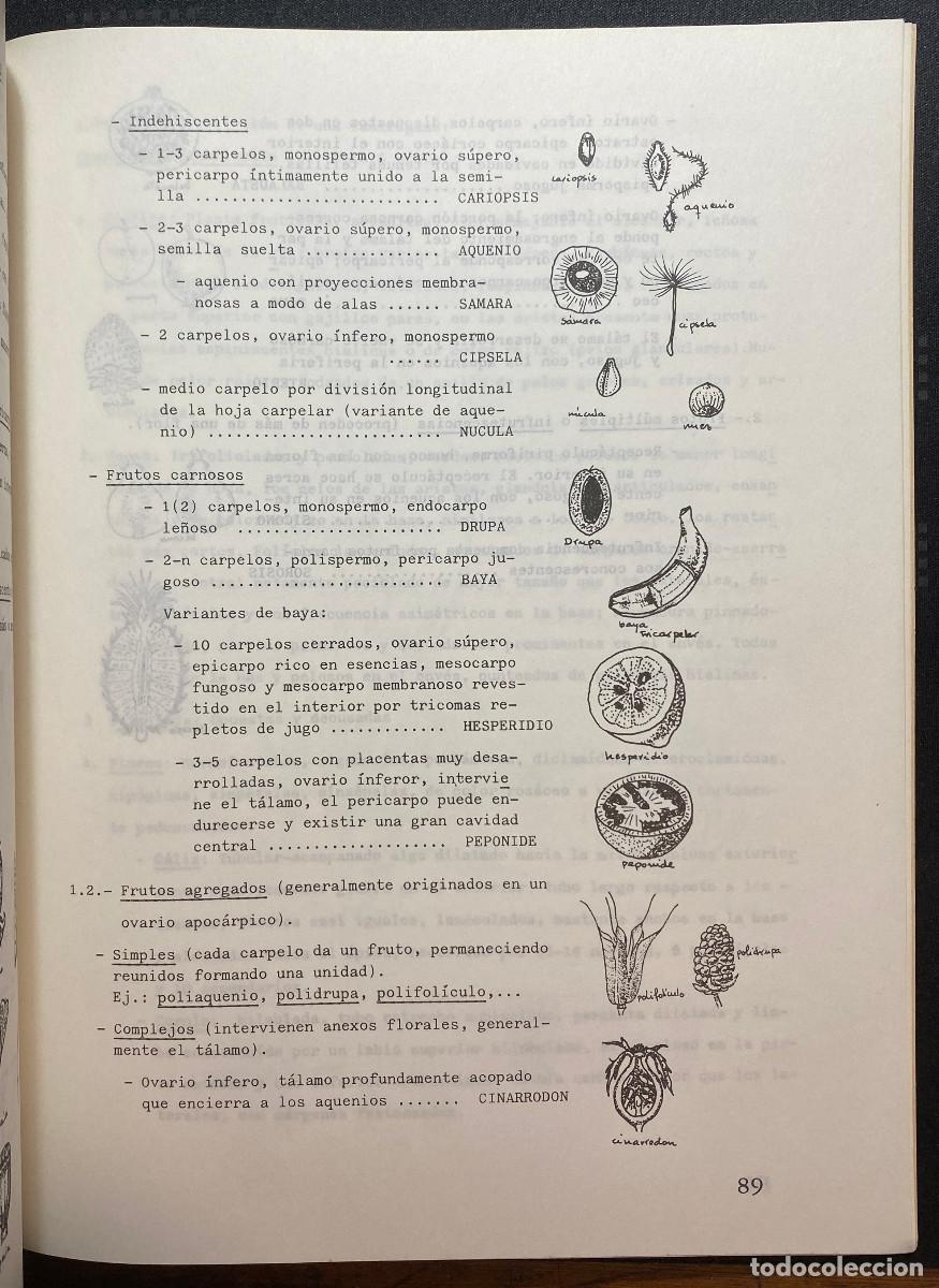 Libros de segunda mano: PR&Aacute;CTICAS DE BOT&Aacute;NICA GENERAL - VV.AA. - GOYA EDICIONES - TENERIFE - CANARIAS - Foto 5