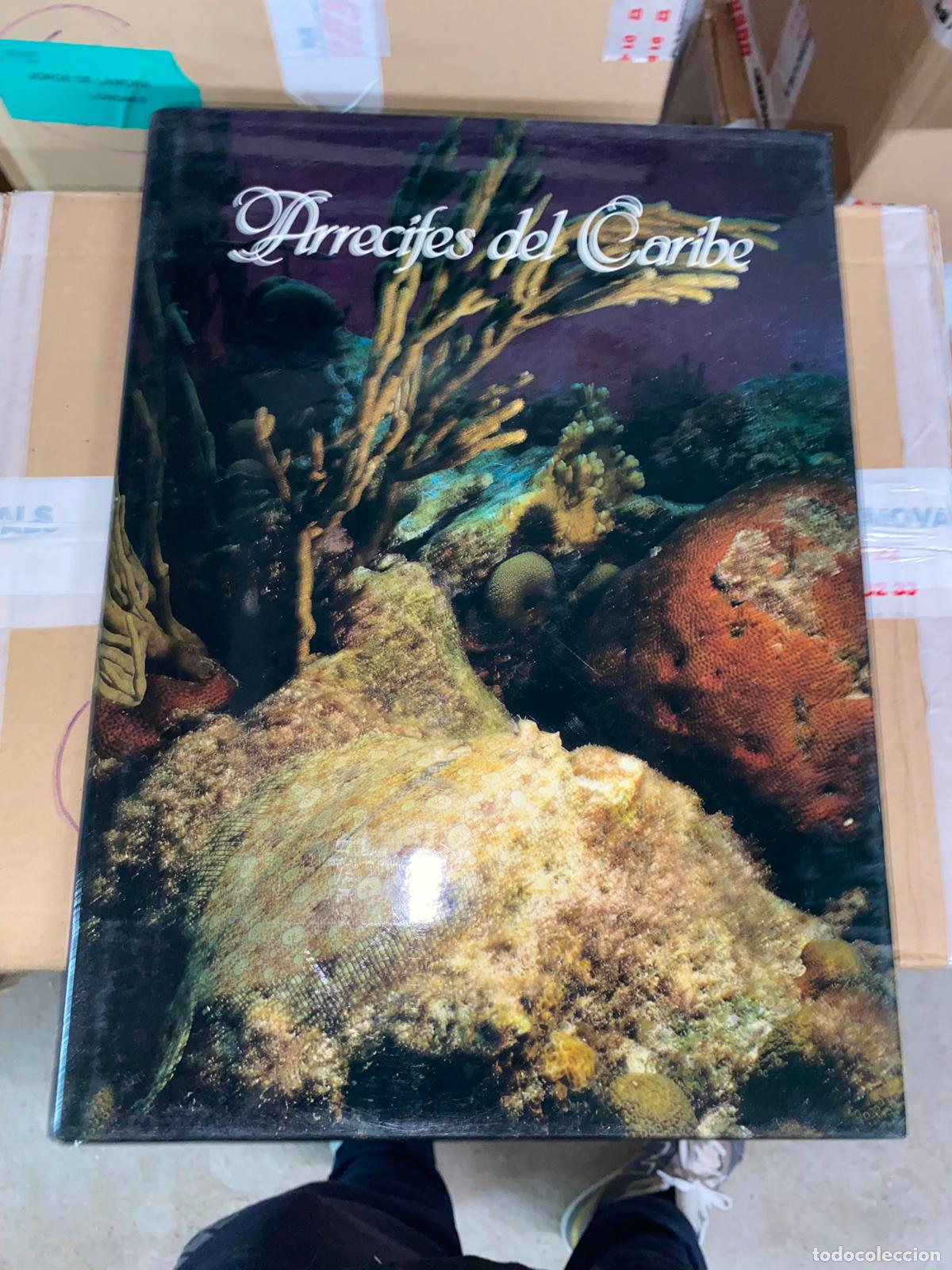 Gebrauchte B&uuml;cher: ARRECIFES DEL CARIBE - Prahl, Henry Von ; Brando, Aldo