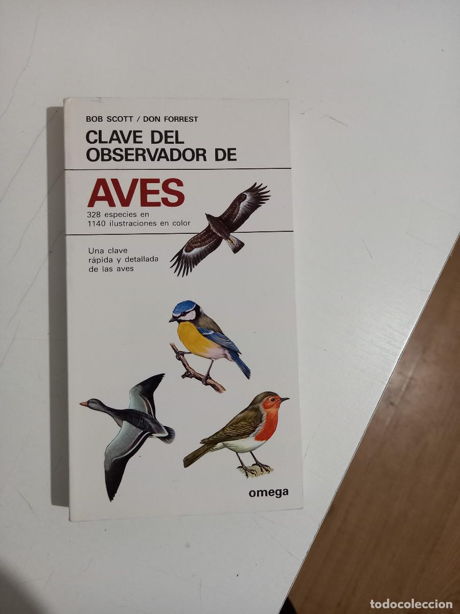Libros de segunda mano: CLAVE DEL OBSERVADOR DE AVES SCOTT, BOB FORREST, dont forres - Foto 1