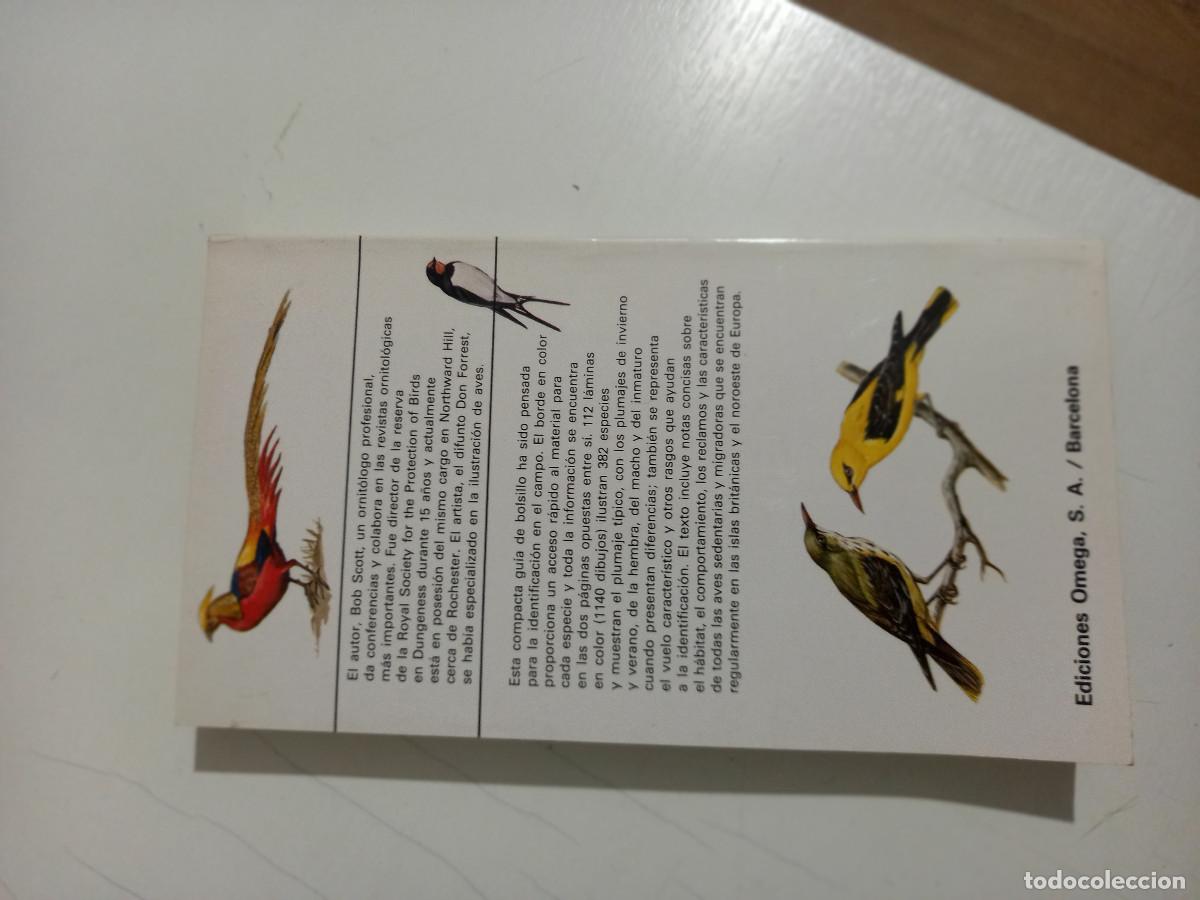 Libros de segunda mano: CLAVE DEL OBSERVADOR DE AVES SCOTT, BOB FORREST, dont forres - Foto 2