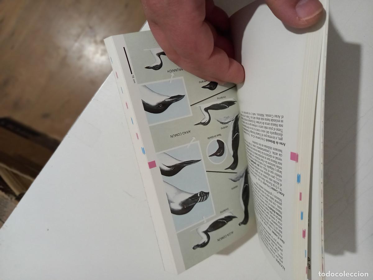 Libros de segunda mano: CLAVE DEL OBSERVADOR DE AVES SCOTT, BOB FORREST, dont forres - Foto 3