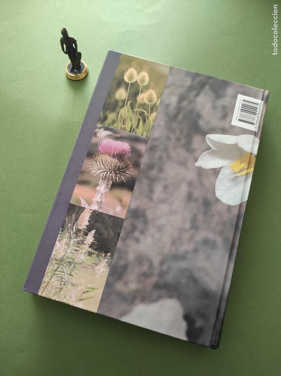 Libros de segunda mano: FLORA VASCULAR de la Comarca de la Plana Alta - Jos&eacute; Tirado Jim&eacute;nez - Foto 4