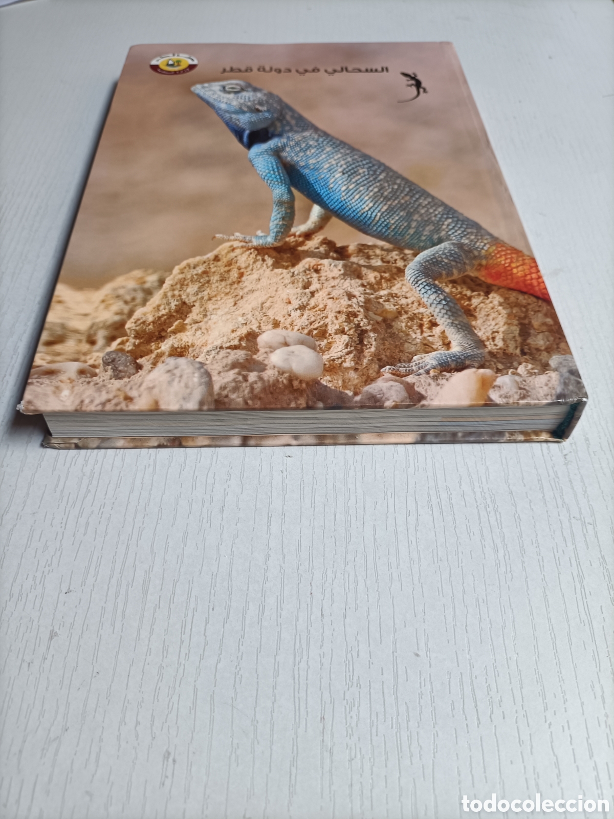 Libros de segunda mano: Lagartos en Qatar . Texto en &aacute;rabe - Foto 1