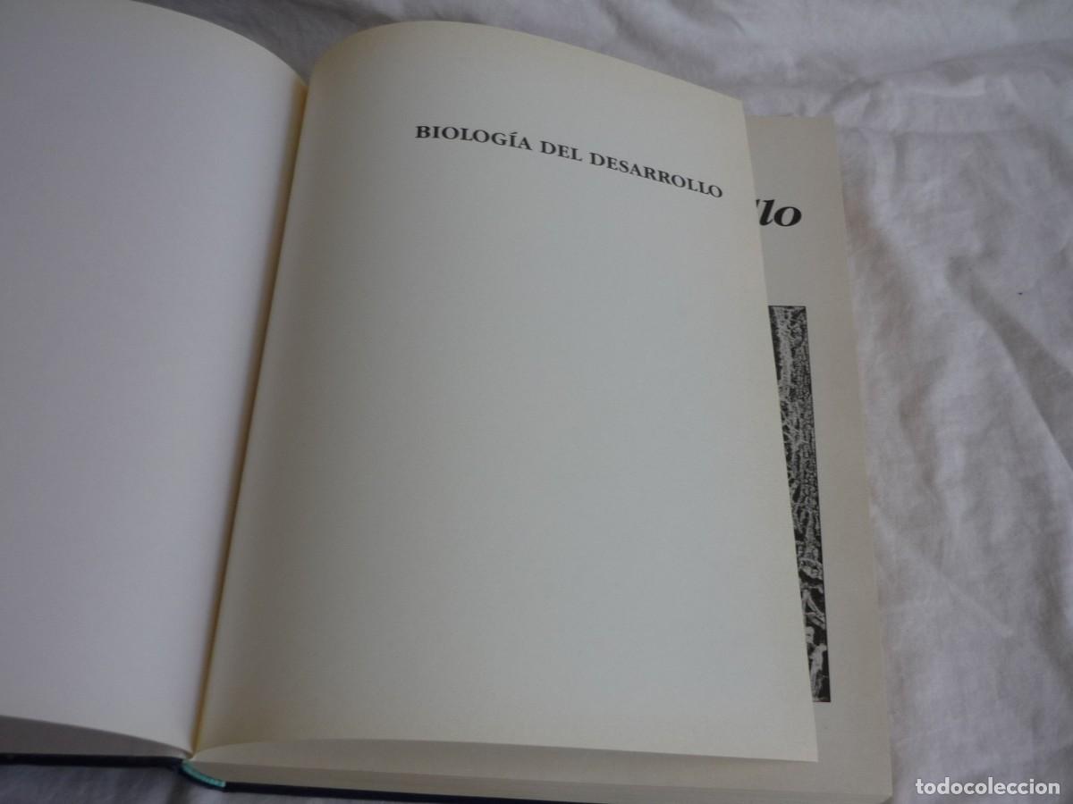 Libros de segunda mano: Biolog&iacute;a del desarrollo, Scott F. Gilbert, 1988 - Foto 6