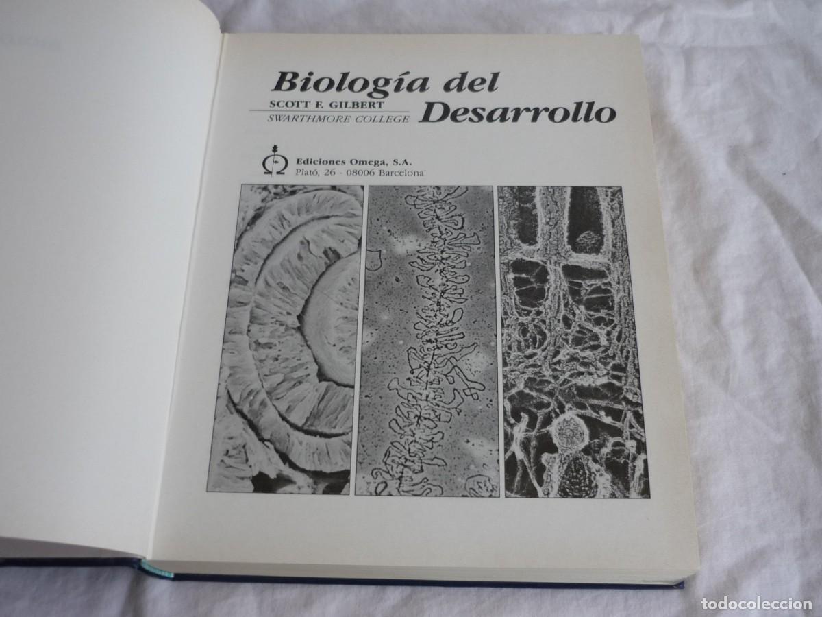 Libros de segunda mano: Biolog&iacute;a del desarrollo, Scott F. Gilbert, 1988 - Foto 7