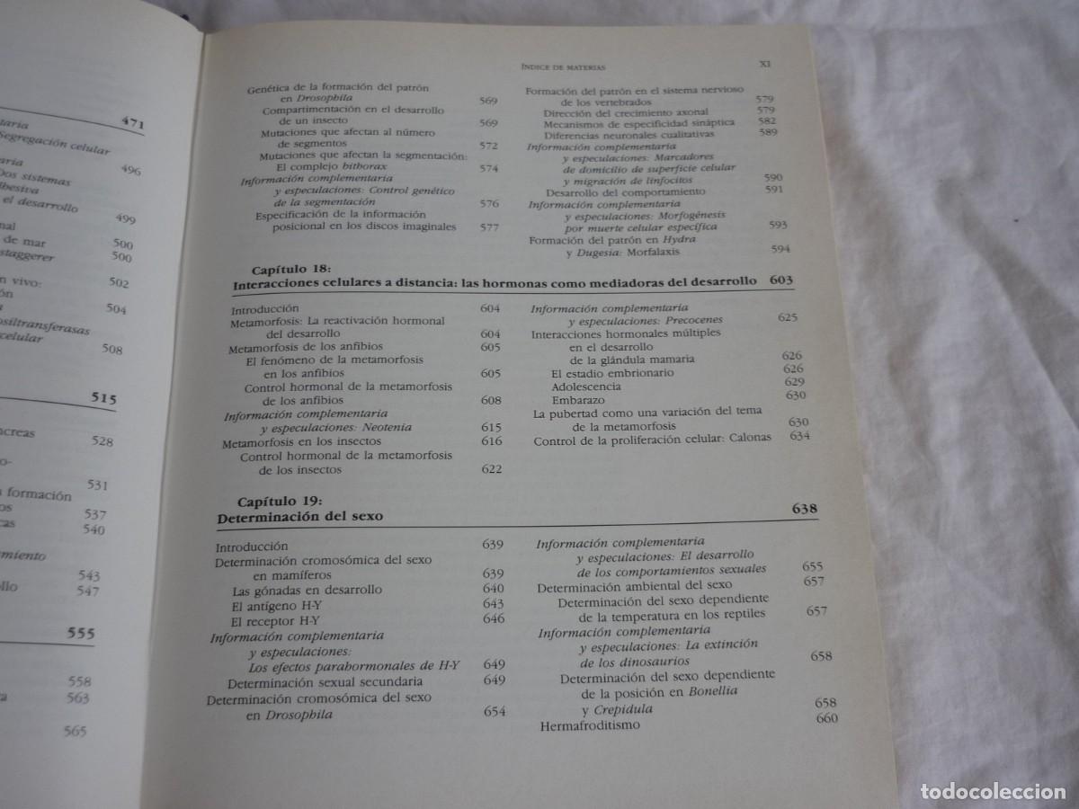 Libros de segunda mano: Biolog&iacute;a del desarrollo, Scott F. Gilbert, 1988 - Foto 14