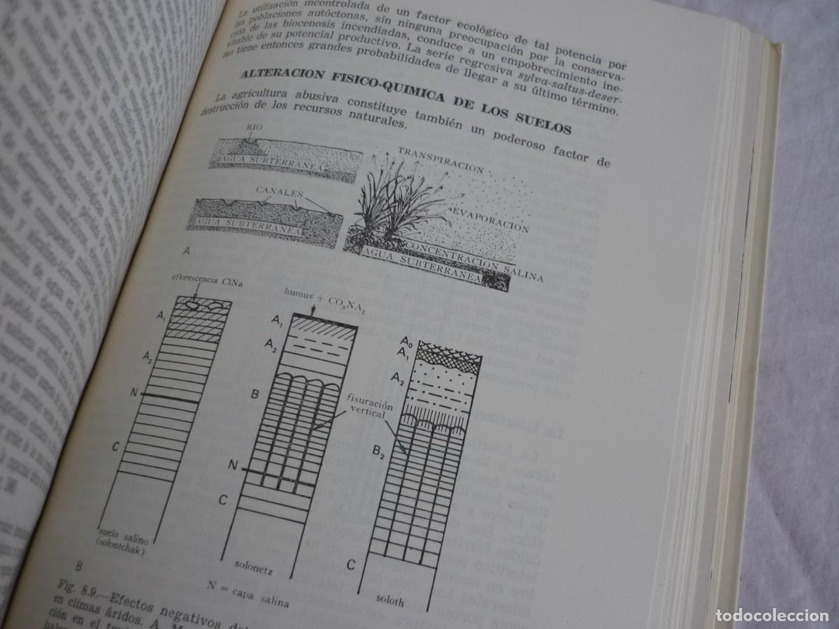 Libros de segunda mano: Elementos de ecolog&iacute;a aplicada, Fran&ccedil;oise Ramade, 1977 - Foto 12