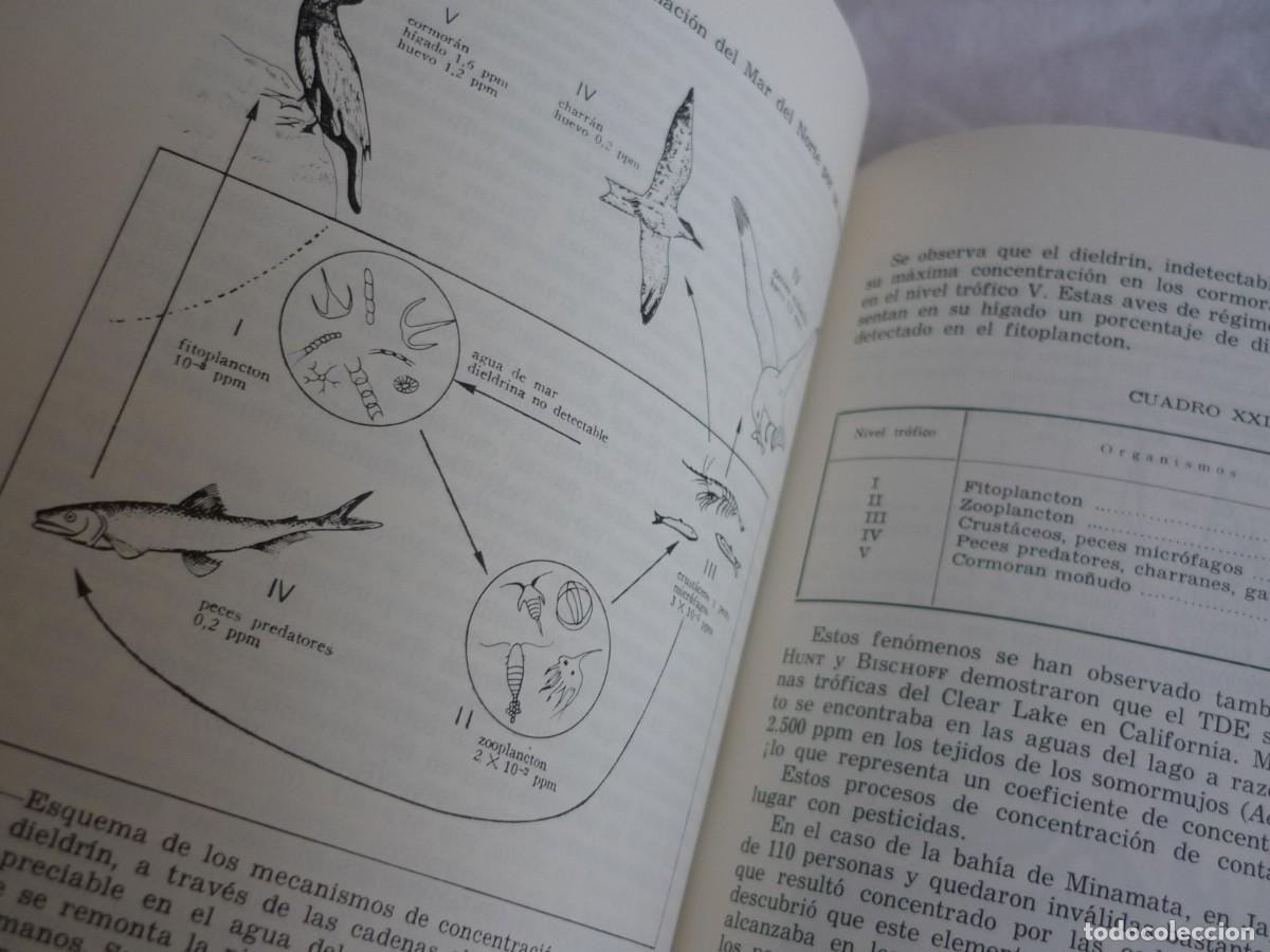 Libros de segunda mano: Elementos de ecolog&iacute;a aplicada, Fran&ccedil;oise Ramade, 1977 - Foto 13