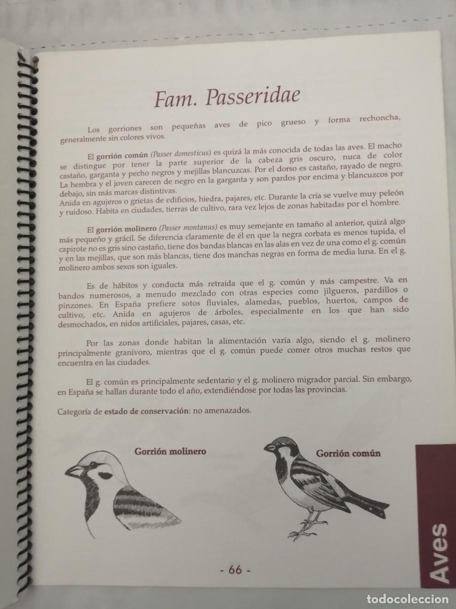 Libros de segunda mano: Sevilla la Nueva: Fauna vertebrada - Foto 4