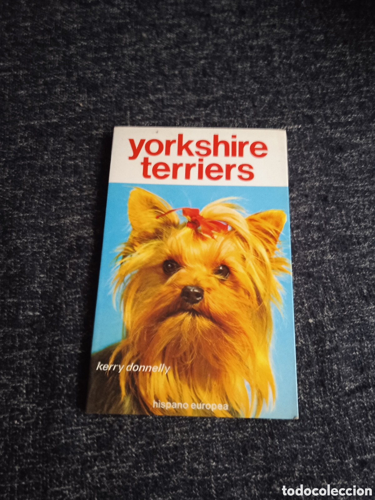 Libros de segunda mano: YORKSHIRE TERRIERS / KERRY DONNELLY. - PERROS - Foto 1