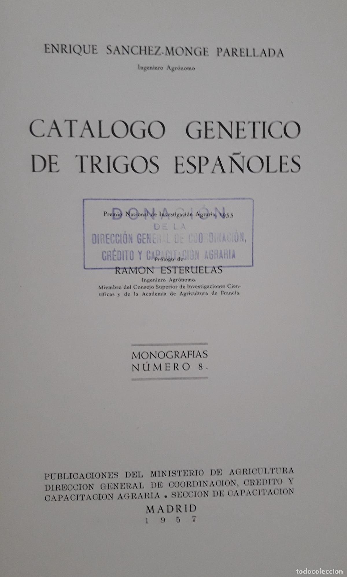 Libros de segunda mano: Cat&aacute;logo gen&eacute;tico de Trigos espa&ntilde;oles. E. S&aacute;nchez-Monge. 1957 - Foto 2