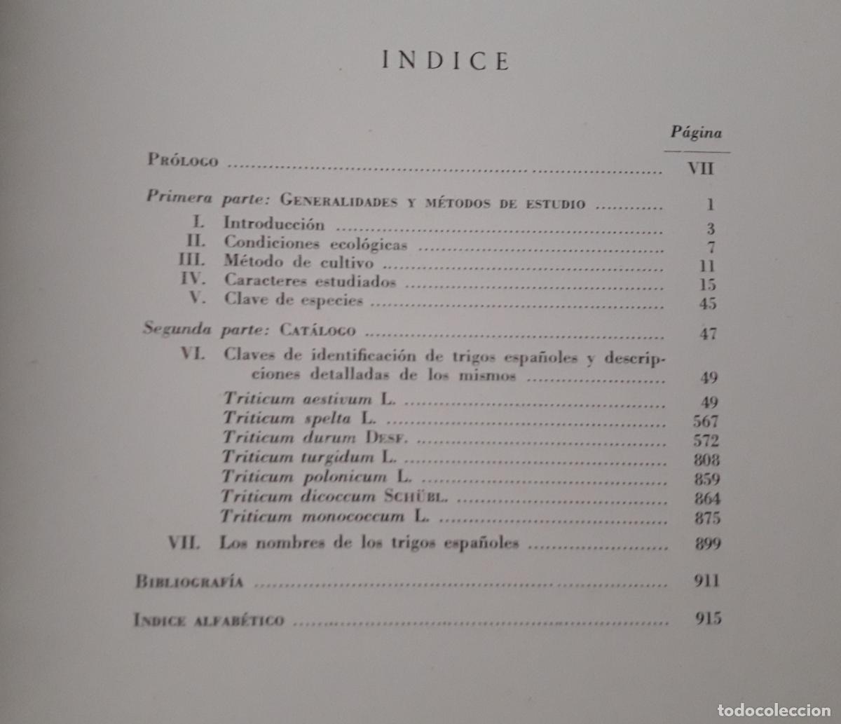 Libros de segunda mano: Cat&aacute;logo gen&eacute;tico de Trigos espa&ntilde;oles. E. S&aacute;nchez-Monge. 1957 - Foto 3