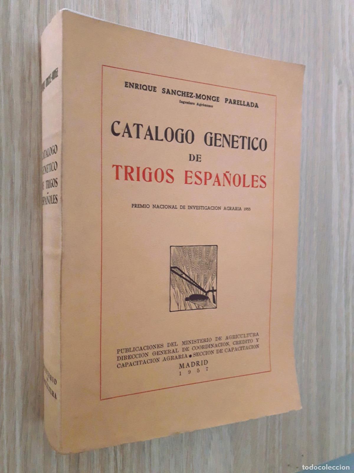 Libros de segunda mano: Cat&aacute;logo gen&eacute;tico de Trigos espa&ntilde;oles. E. S&aacute;nchez-Monge. 1957 - Foto 1