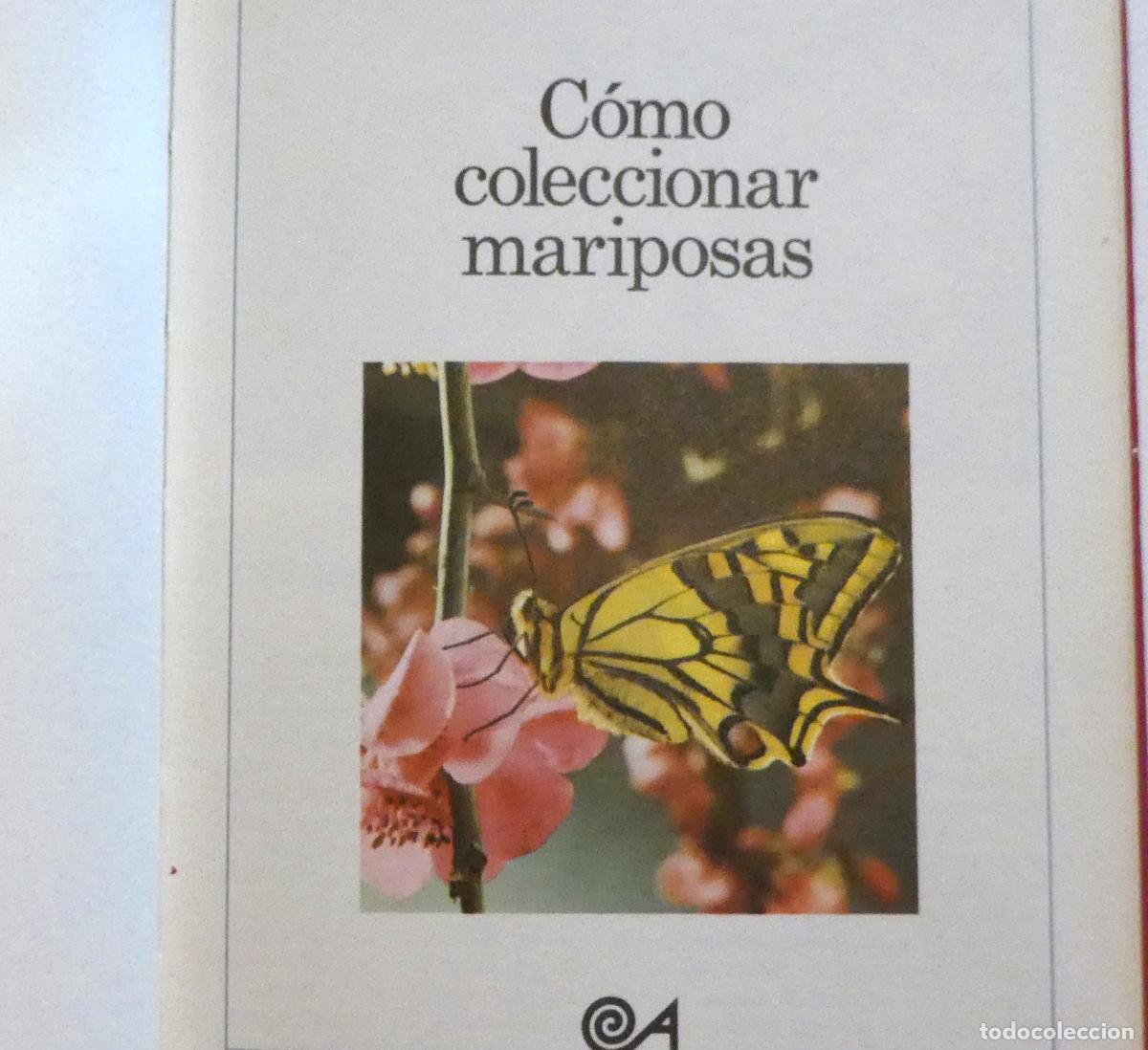 Libros de segunda mano: COMO COLECCIONAR MARIPOSAS JOS&Eacute; A. ARROYO - Foto 3